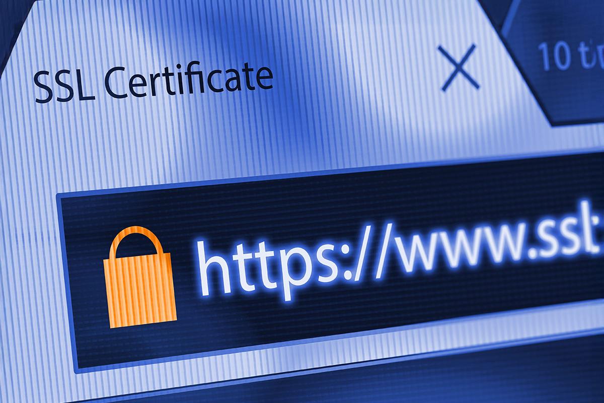 Отзыв SSL-сертификатов у российских компаний создаст проблемы с безопасностью и доступностью сайтов