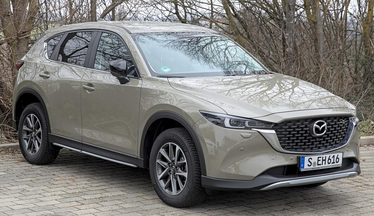 Украинцы предпочитают кроссоверы: рейтинг популярных новых авто