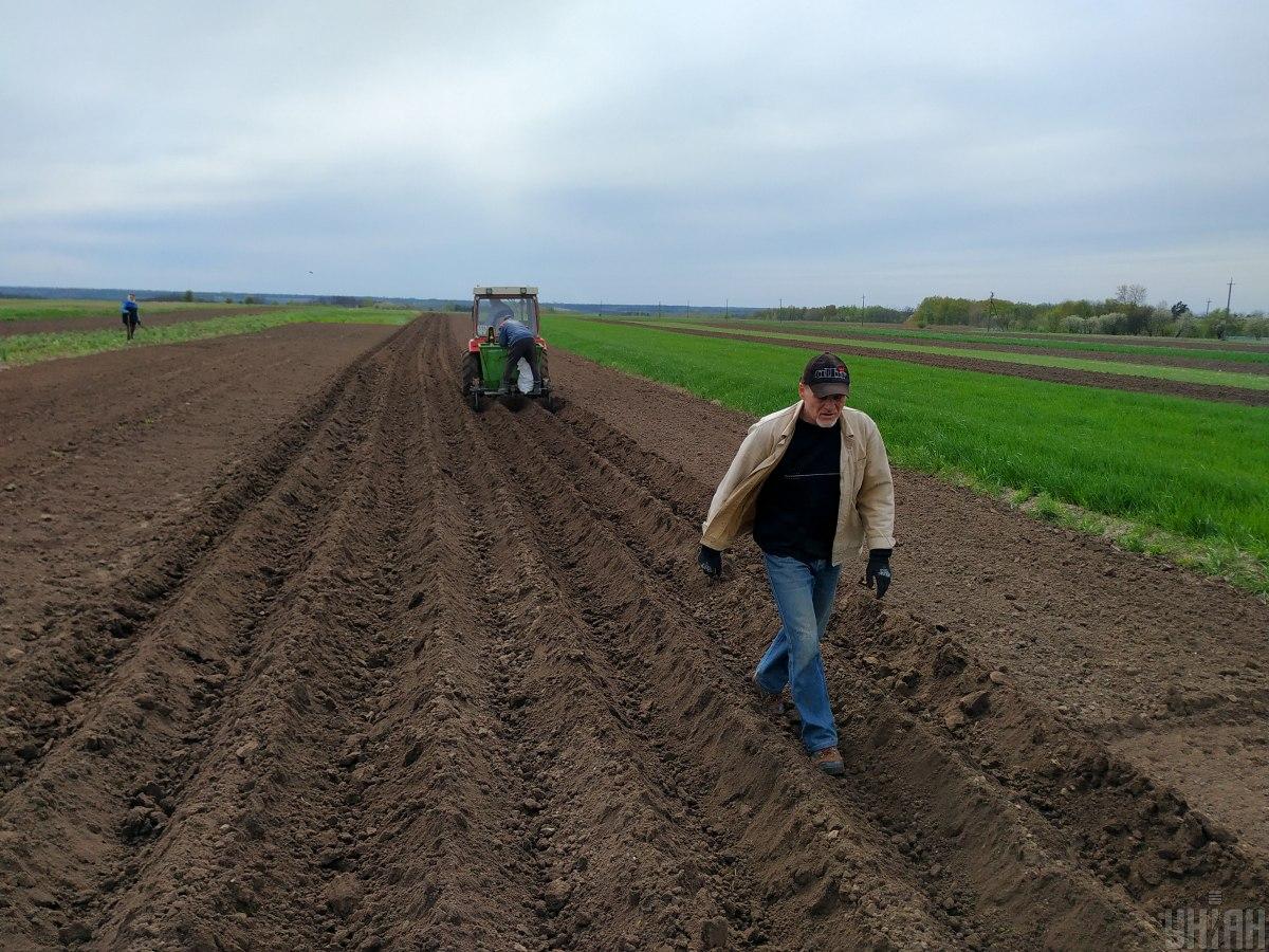В Украине выросли цены на землю: сколько стоит один гектар