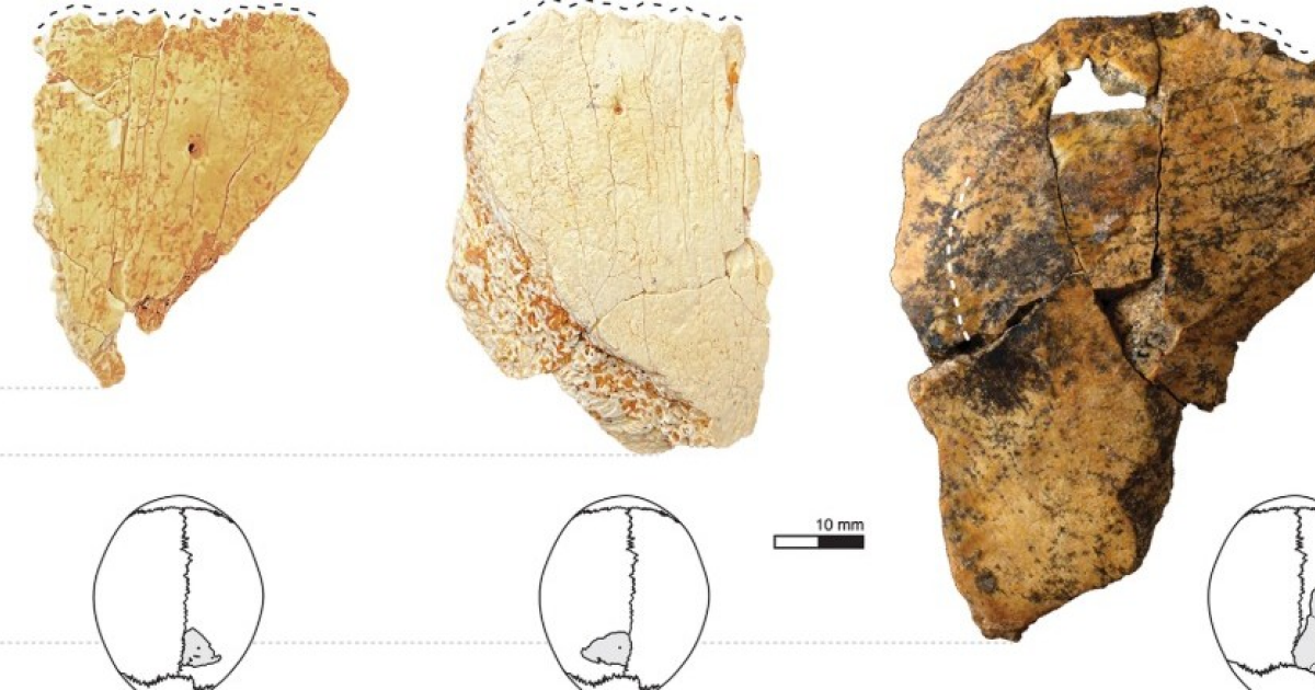 Найдены останки Homo antecessor