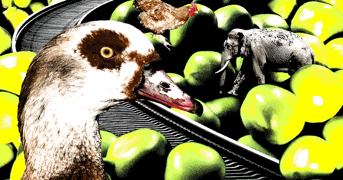Рельсы-рельсы, шпалы-шпалы