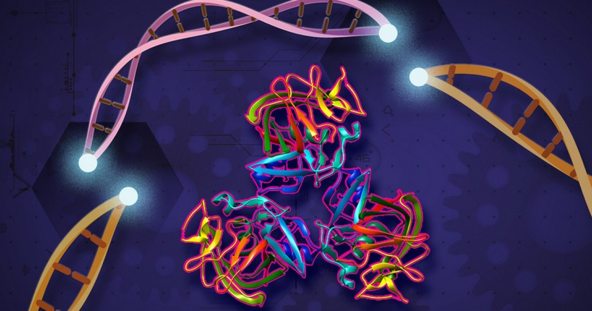 Годичный результат первой фазы CRISPR‑терапии дислипидемии: стабильный эффект и безопасность
