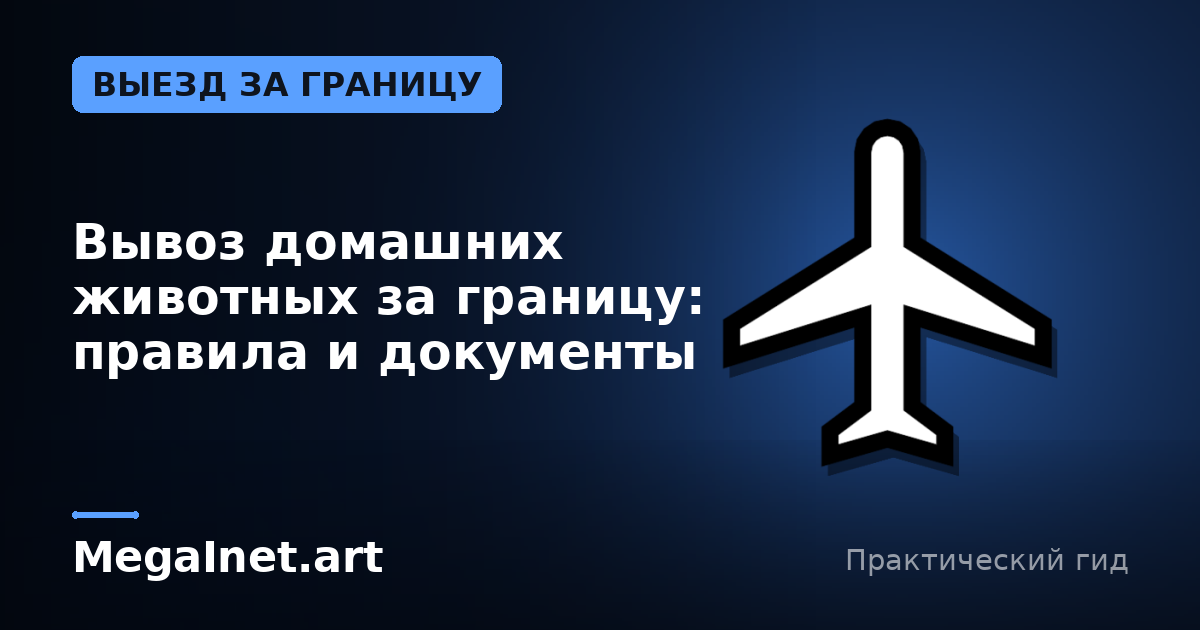Вывоз домашних животных за границу: правила и документы