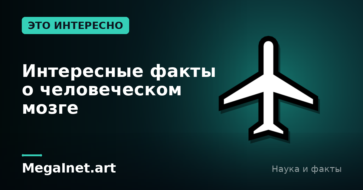 Интересные факты о человеческом мозге