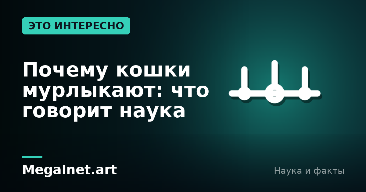 Почему кошки мурлыкают: что говорит наука