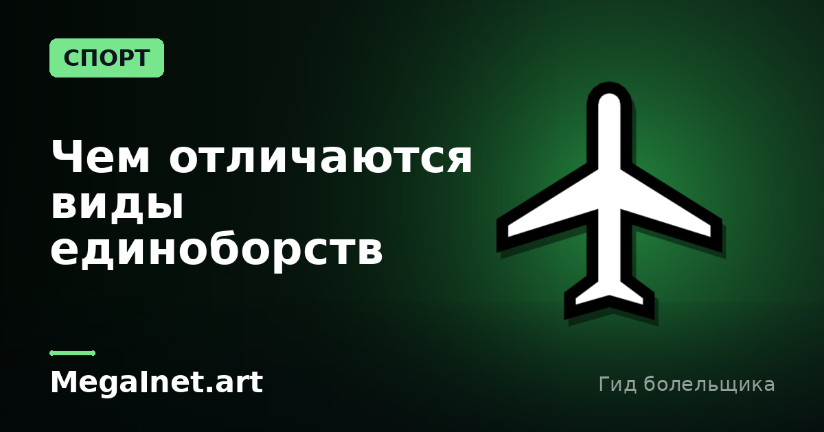 Чем отличаются виды единоборств