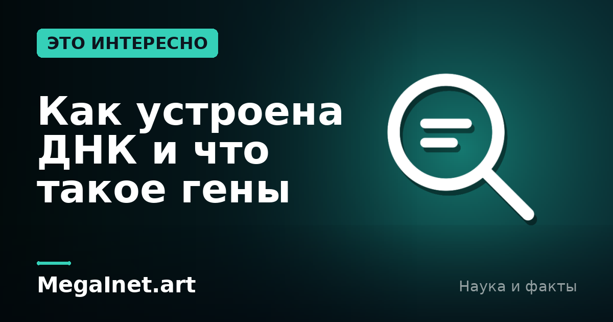 Как устроена ДНК и что такое гены