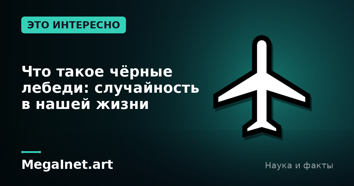 Что такое чёрные лебеди: случайность в нашей жизни