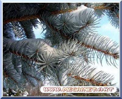 Обои для рабочего стола - Природа Обои для рабочего стола - Природа