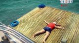 Наша RUSSIA / Наша Раша 5 сезон ( 2011 )