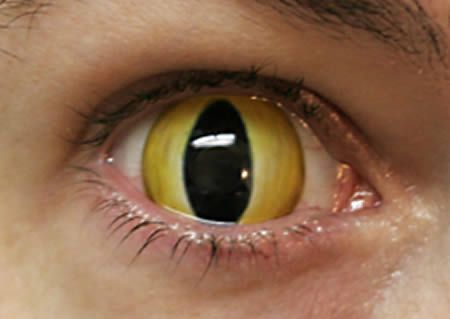 15 самых необычных контактных линз ( фото )