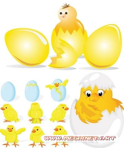Векторные изображения - Цыпленок и яицо