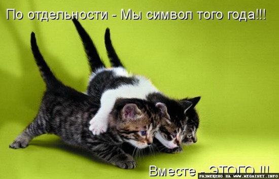 Котоматрицы: Смешные картинки с кошками