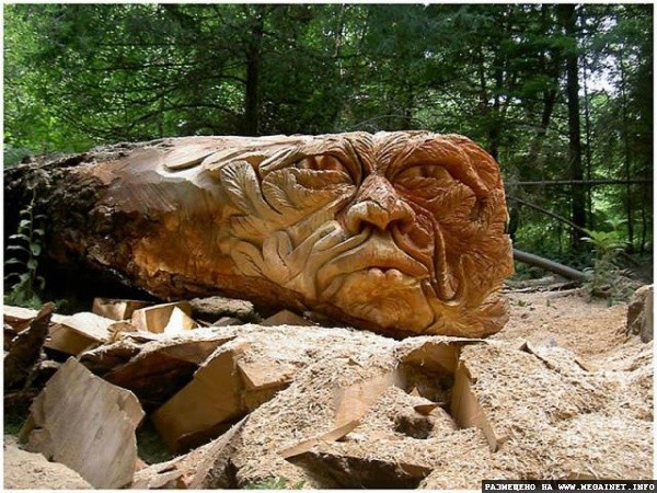 Скульптуры из дерева британского художника Томми Краггса