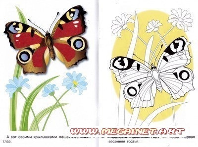 Раскраска - Бабочки