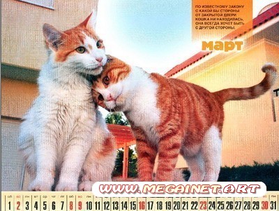 Перекидной календарь на 2014 год - Дом кошки