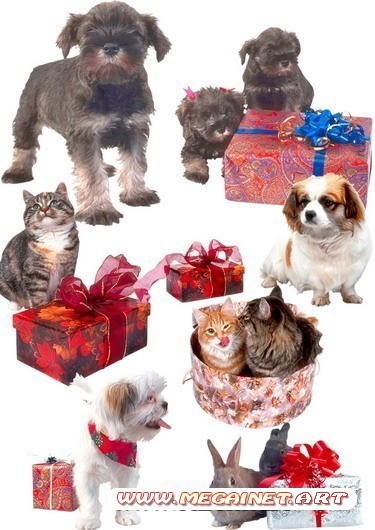 Картинки клипарт - Кошки, собаки и кролики