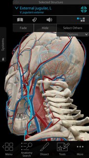 Human Anatomy Atlas 2018 2018.4.44 ( Android )